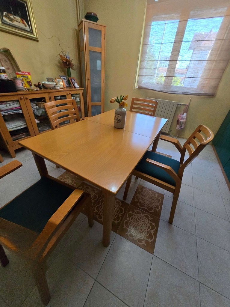 Retka prilika prodaja kuce u Novom Sadu 4