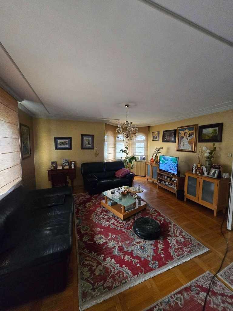 Retka prilika prodaja kuce u Novom Sadu 5