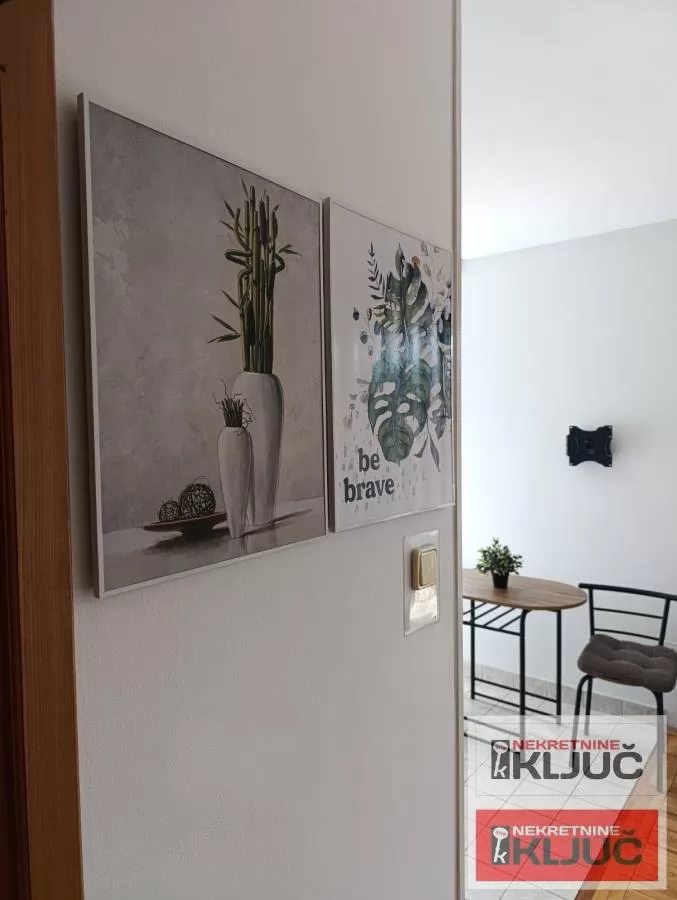 GRBAVICA IZDAJE SE NAMEŠTENA GARSONJERA 10