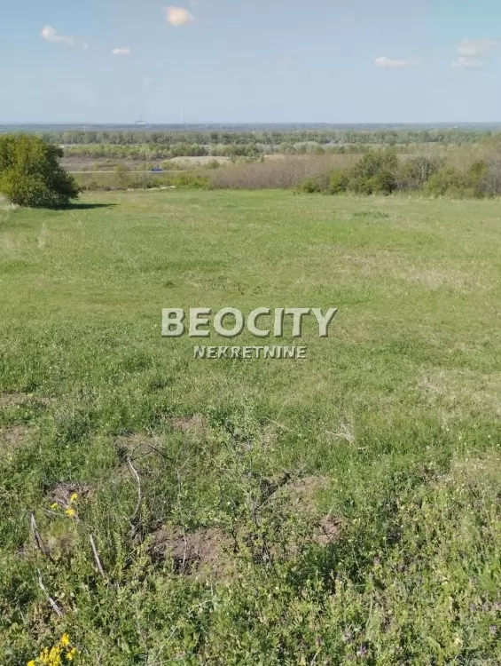 Plac, Ostružnica, Predraga Radmulca ID: 131411 4