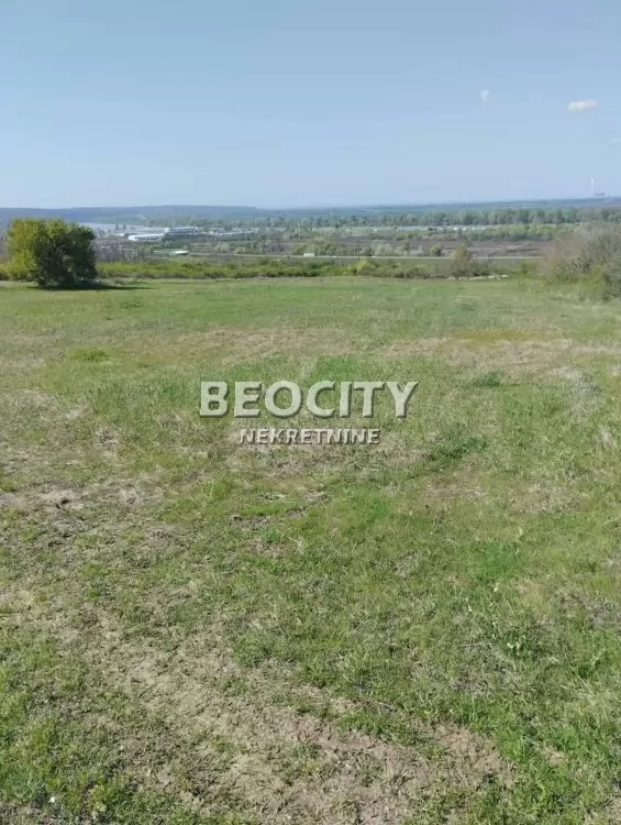 Plac, Ostružnica, Predraga Radmulca ID: 131411 5