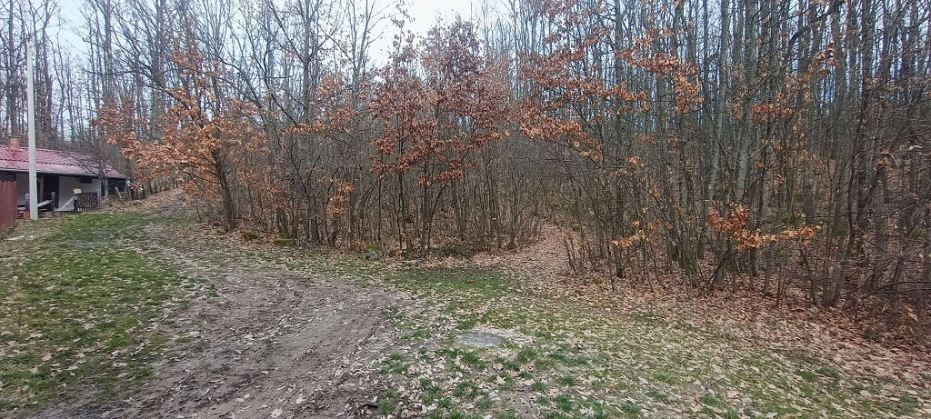 Plac u Atomskoj Banji 1