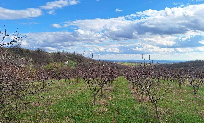 Prodajem plac zemlju LUX zona 1