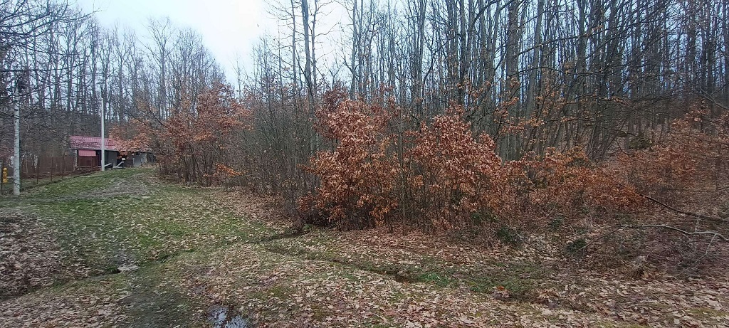 Plac u Atomskoj Banji 2