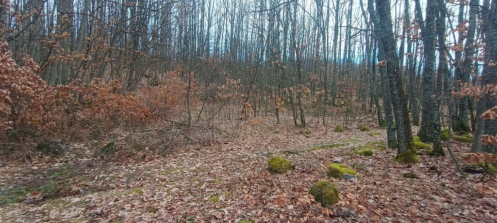 Plac u Atomskoj Banji 3