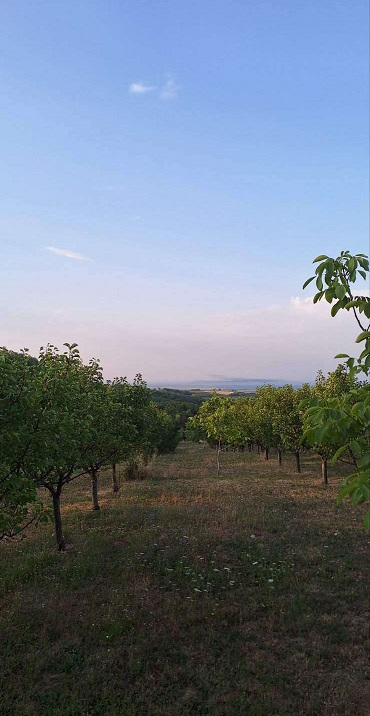 Prodajem plac zemlju LUX zona 3