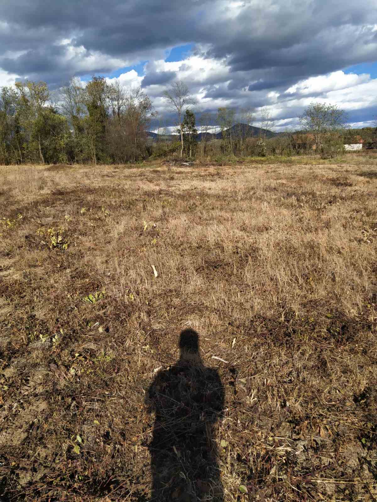 Plac na prodaju Cacak Mojsinje 5