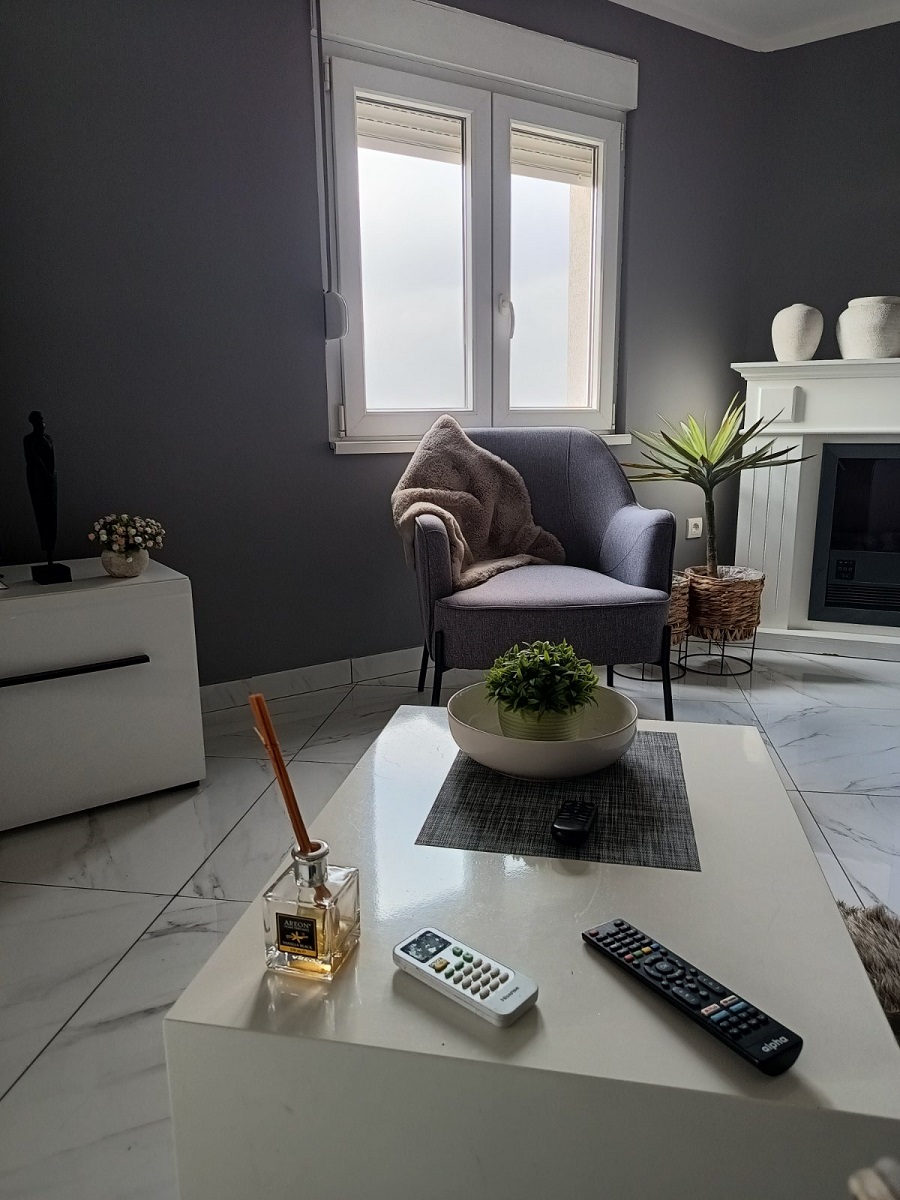 Dvosoban stan za izdavanje u naselju Vojvode Vlahović  50m2 3