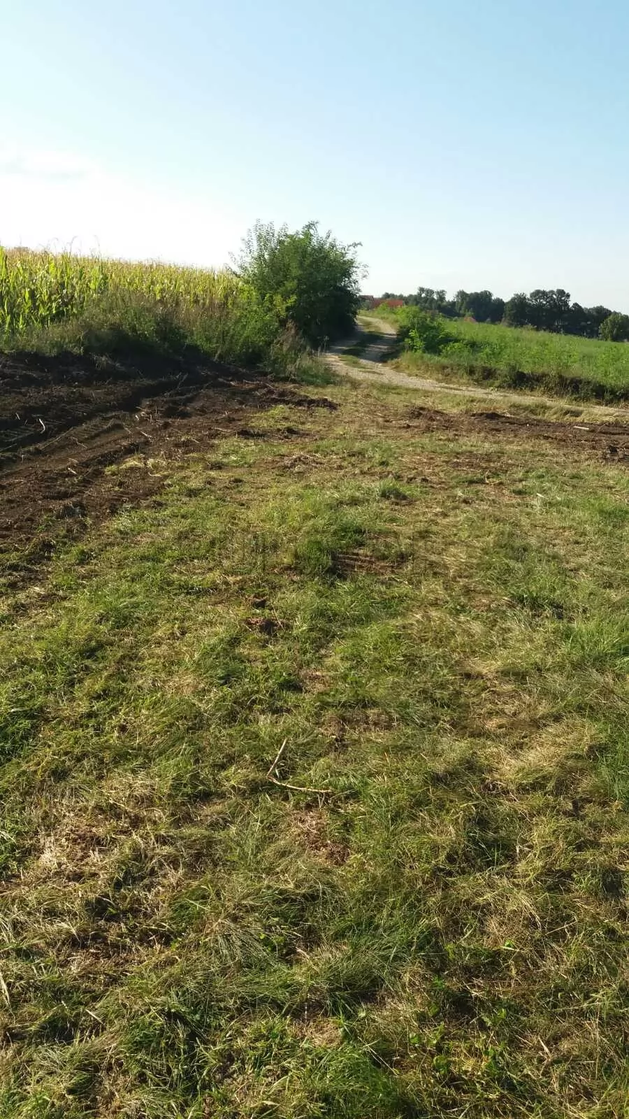 Plac, Save Nikolića ID: p-016244 3