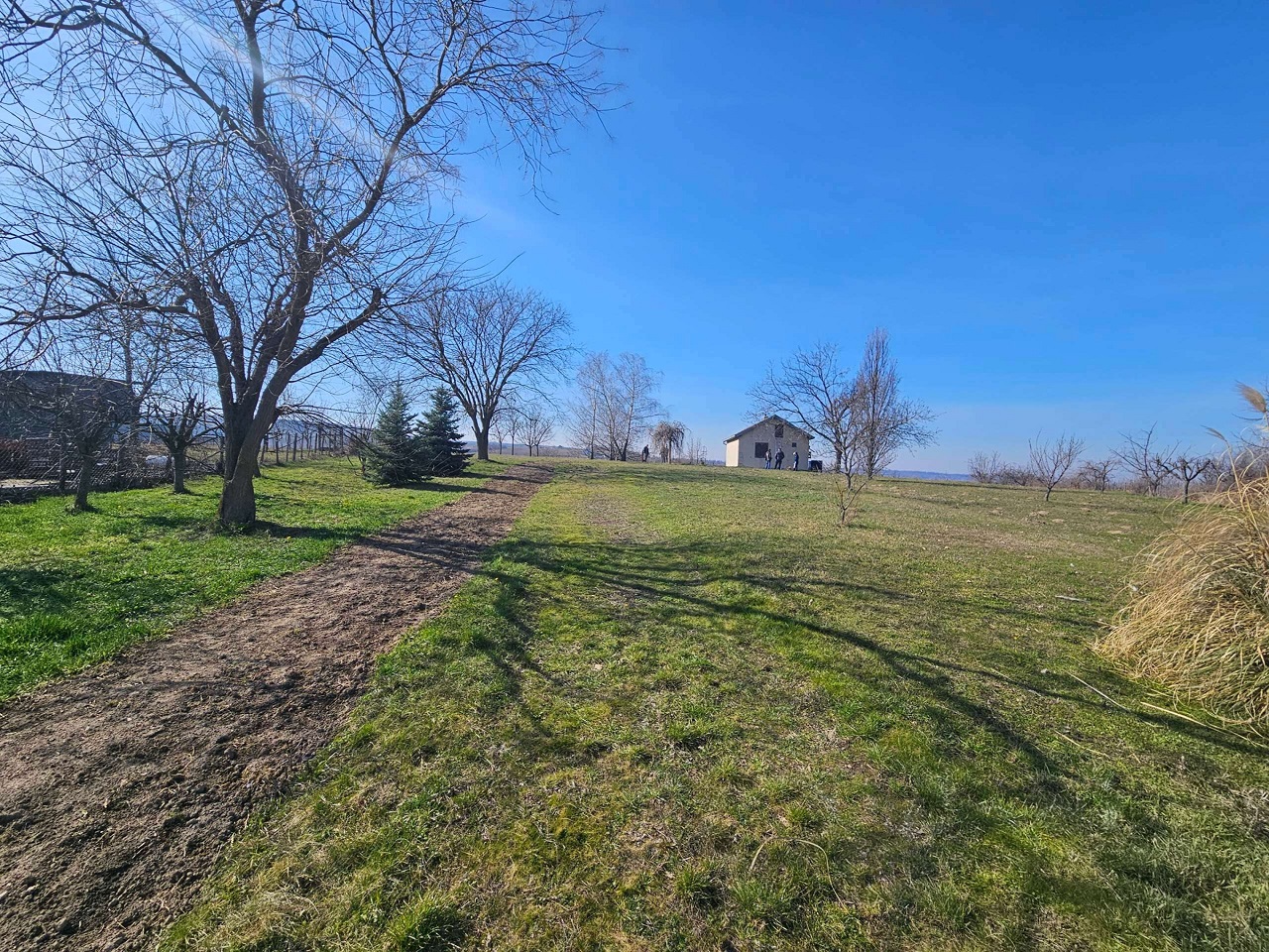 Odličan građevinski plac na Banoštoru 5