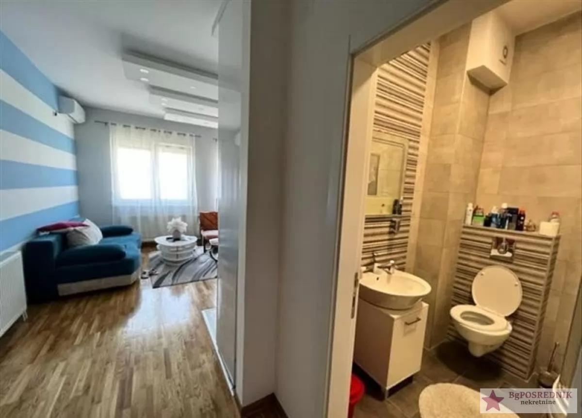 Zvezdara, Mirijevo, Šejkina, 26m2 5