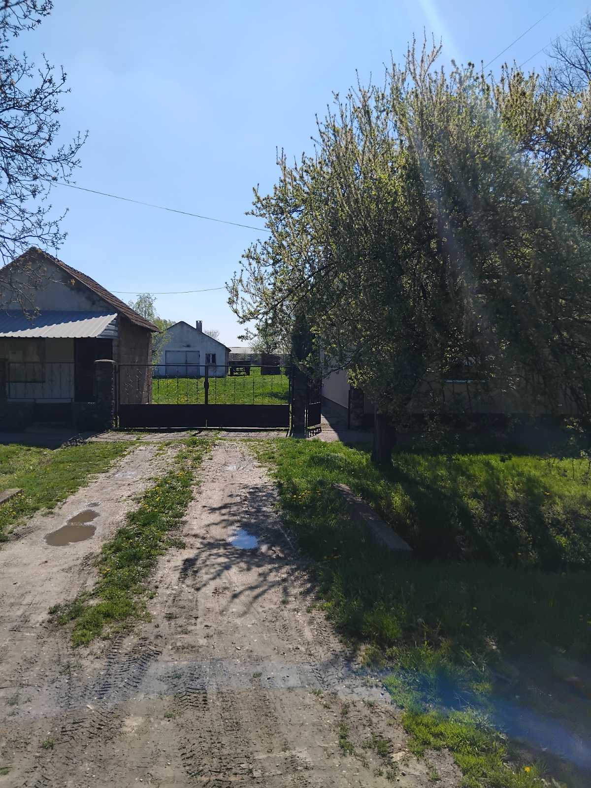 Prodajem kucu u Banatskom Karađorđevu 2