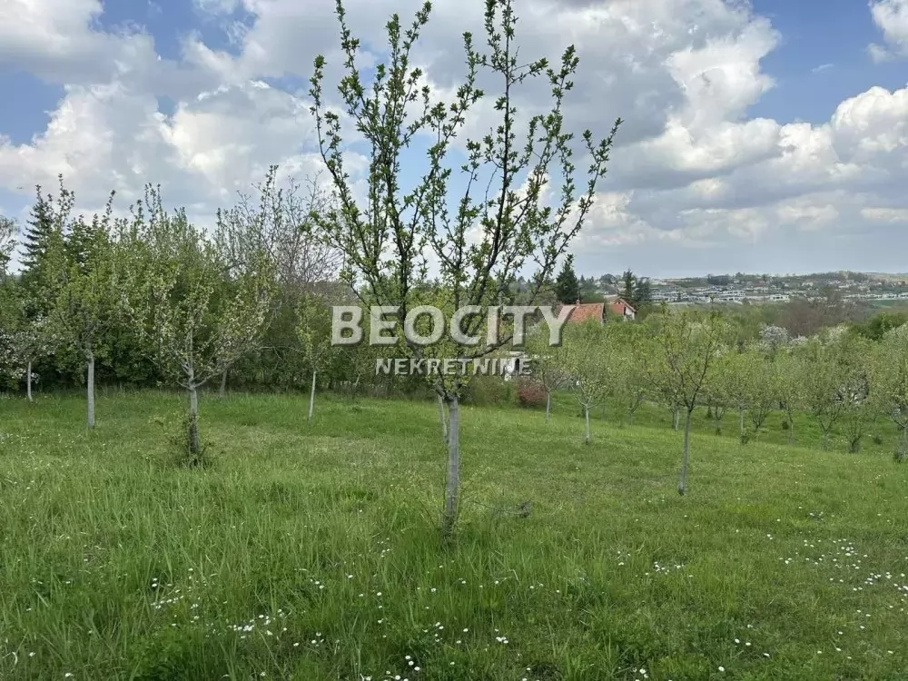 Plac, Grocka ID: 131704 1