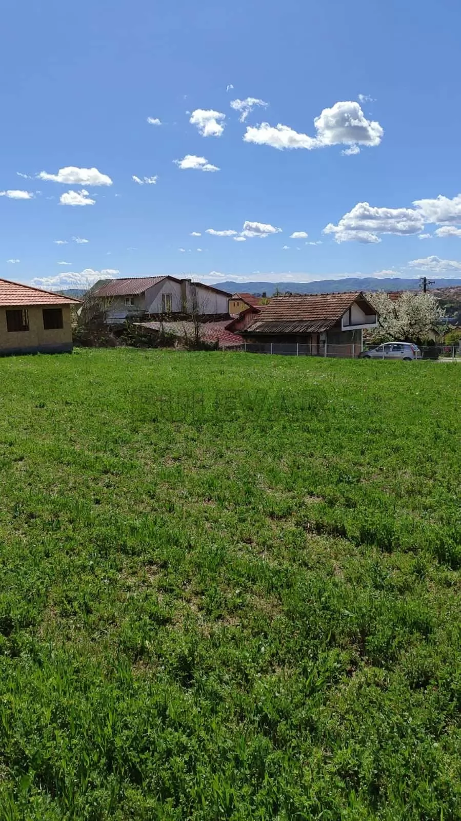 Plac, Petrovac, Pere Todorovića ID: p-016344 2