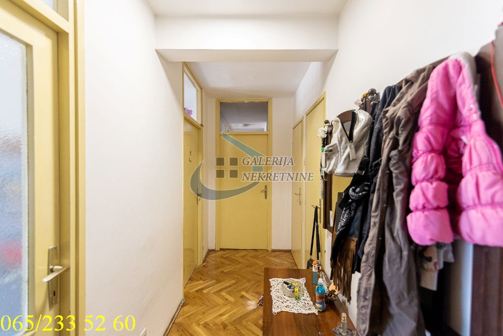 Palilula  Hala Pionir   Bulevar despota Stefana 77m2 5