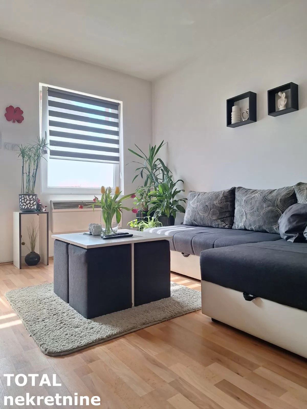 Stan,NOVI SAD,TELEP,kv: 50.00, € 125000, ID: 1102553 11