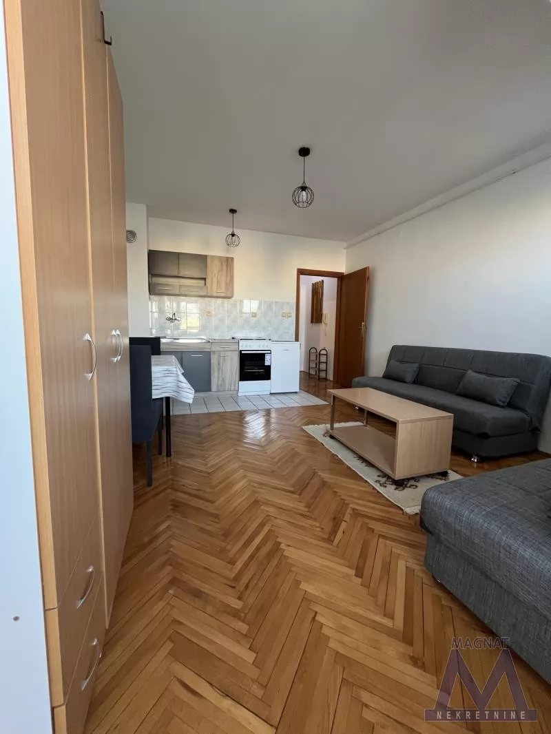 Stan,NOVI SAD,BULEVAR,kv: 24, € 250, ID: 9101036 6