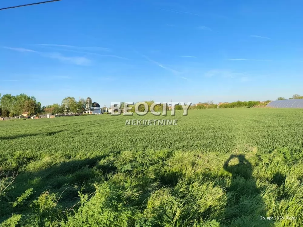 Plac, Sremska 16 ID: 132308 1