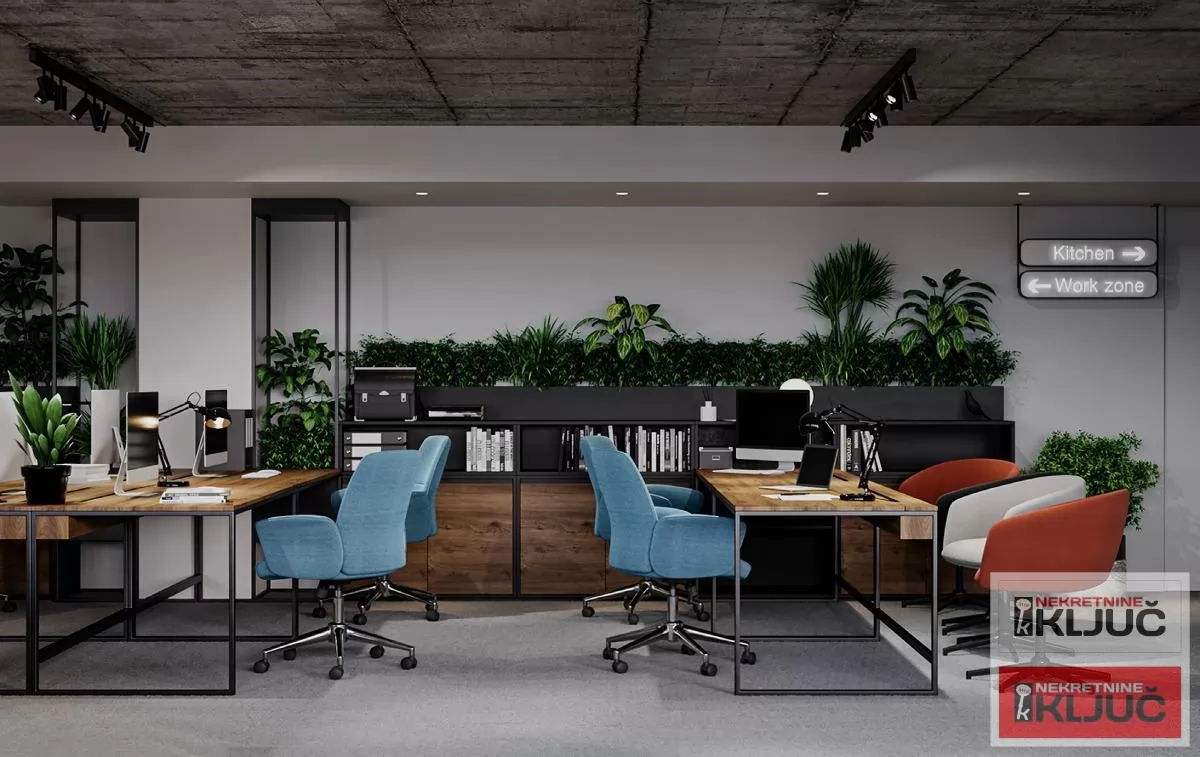 Poslovni prostor 279 m², Bulevar Oslobođenja, Novi Sad 1