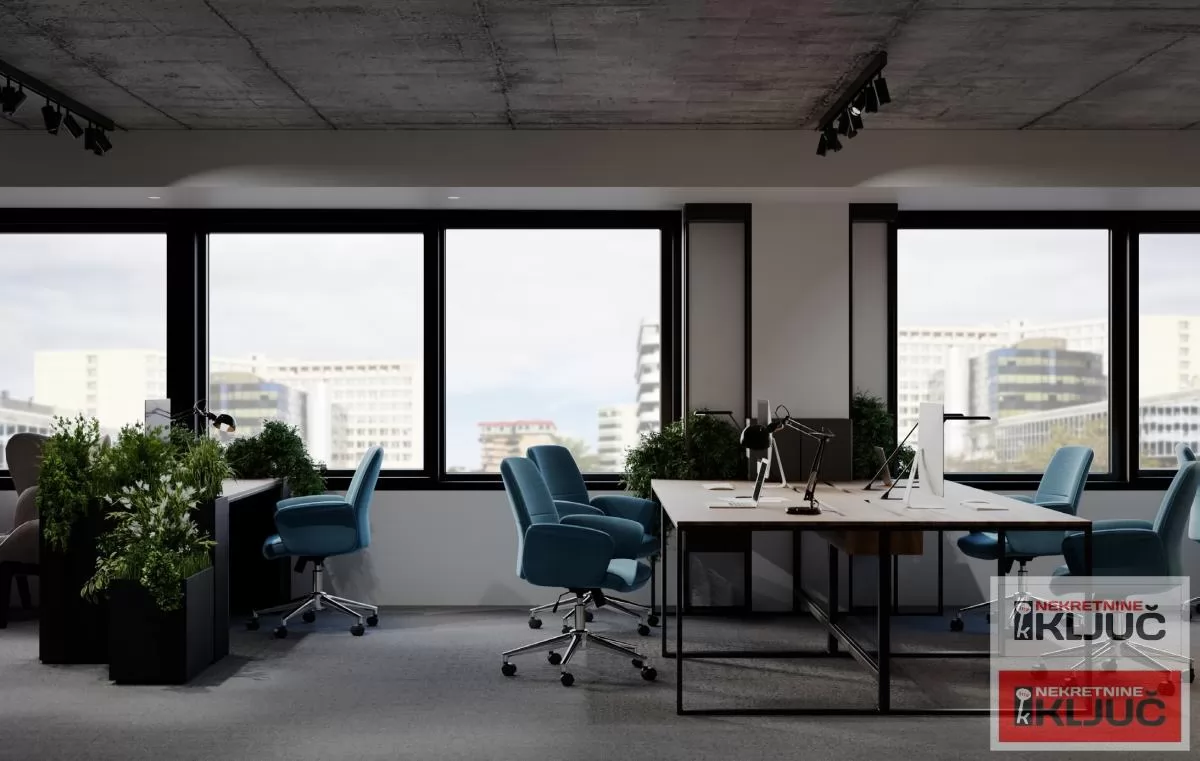 Poslovni prostor 279 m², Bulevar Oslobođenja, Novi Sad 3