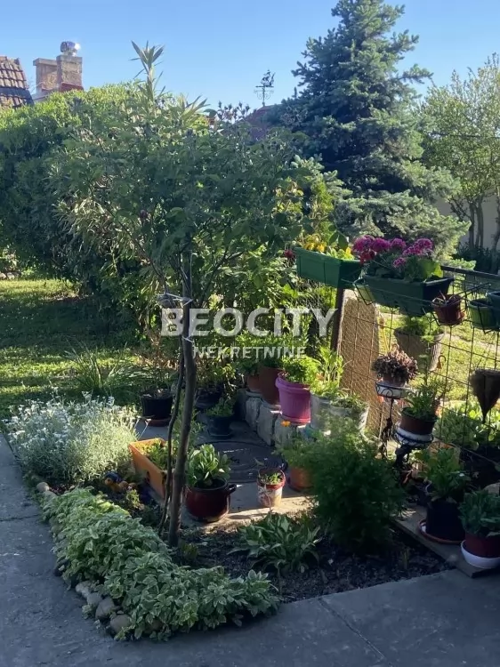 četvorosobna kuća, 110 m2, Palilula, Gradašnička ID: 132318 22
