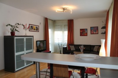 Dvosoban stan za izdavanje  Vladimira Popovića Park apartmani  1 000   80m² 3