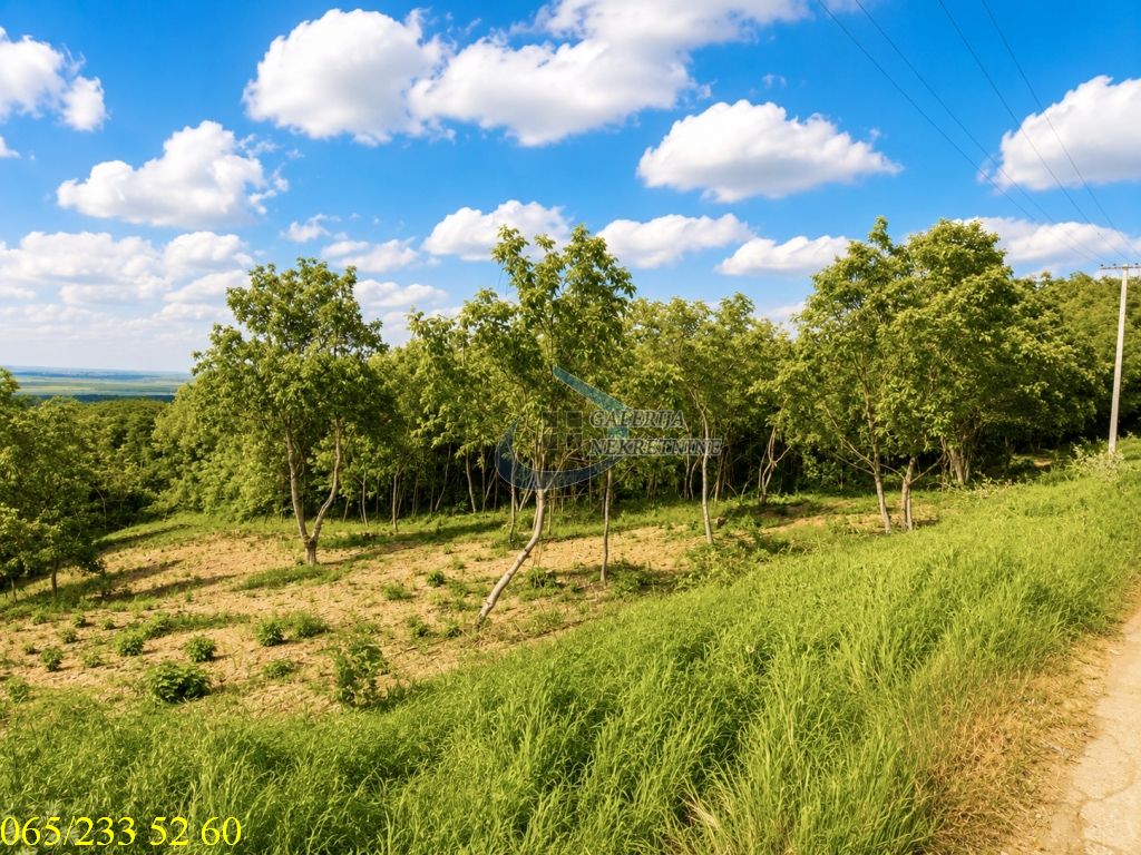 Inđija  Novi Slankamen  Slankamenački vinogradi   Potes Janda 26a 4