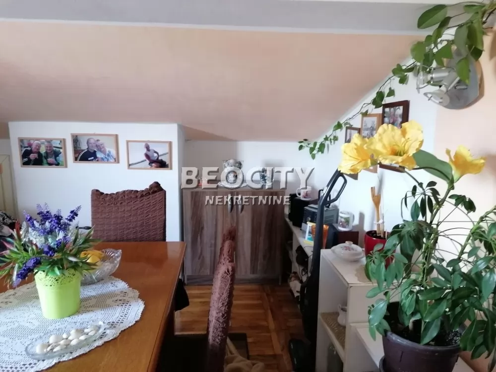 Dvosoban stan, 36 m2, Novi Sad, Preradovićeva ID: 132572 1