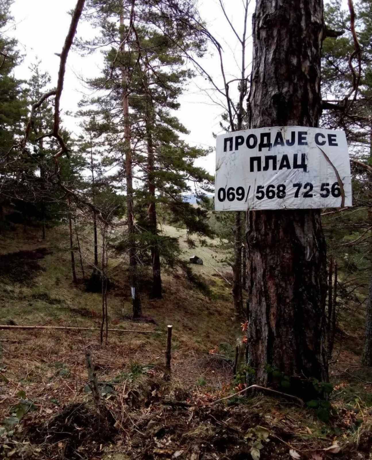 Prodajem plac na Divčibarama 1