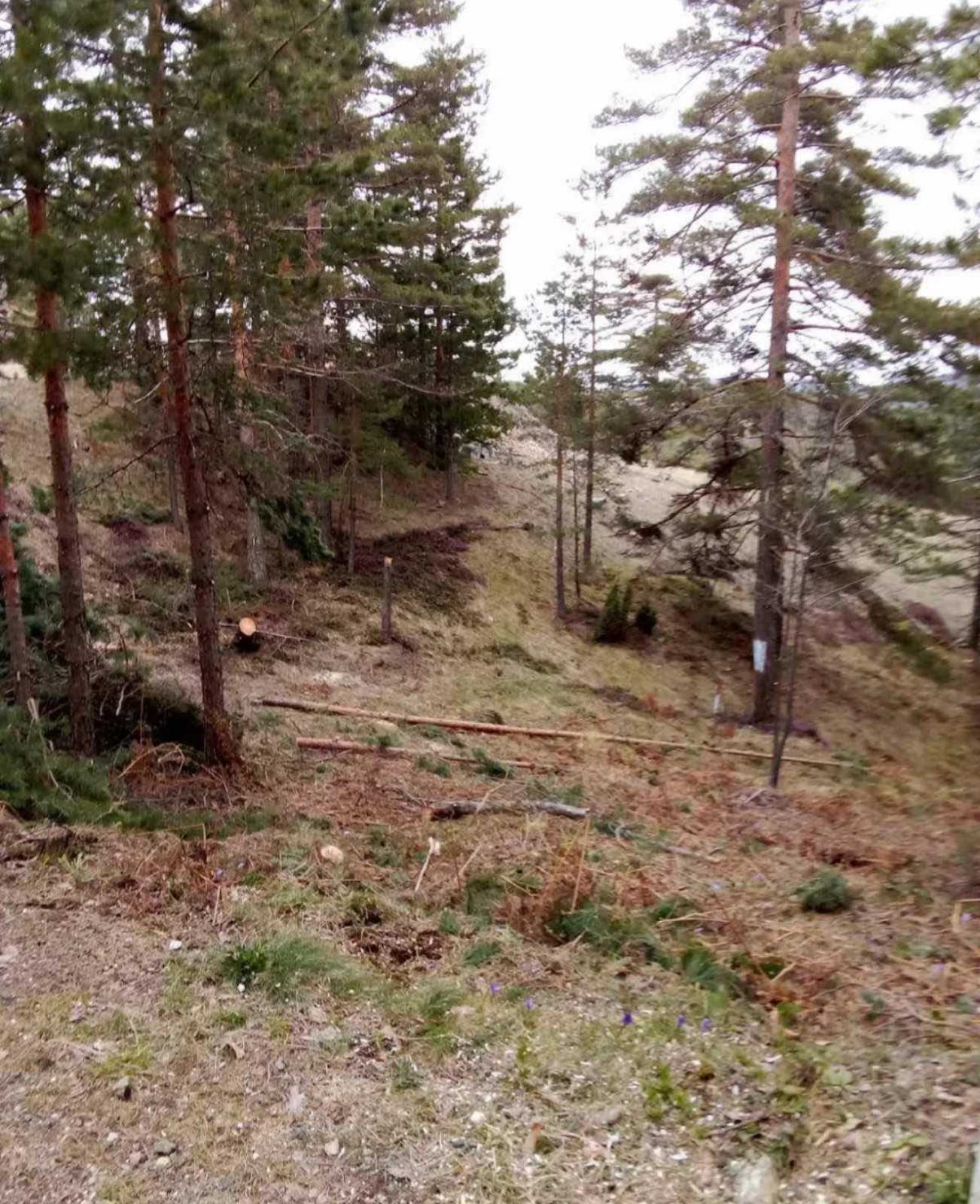 Prodajem plac na Divčibarama 3