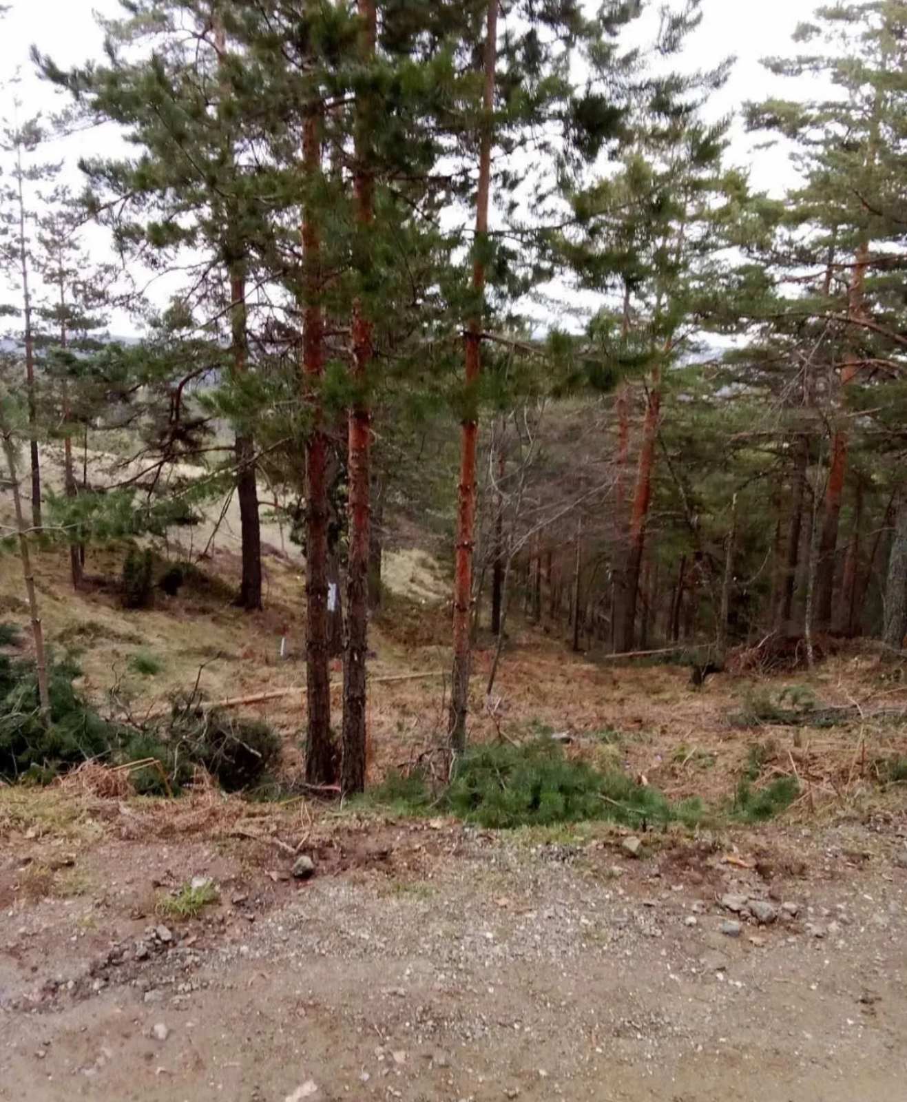 Prodajem plac na Divčibarama 4