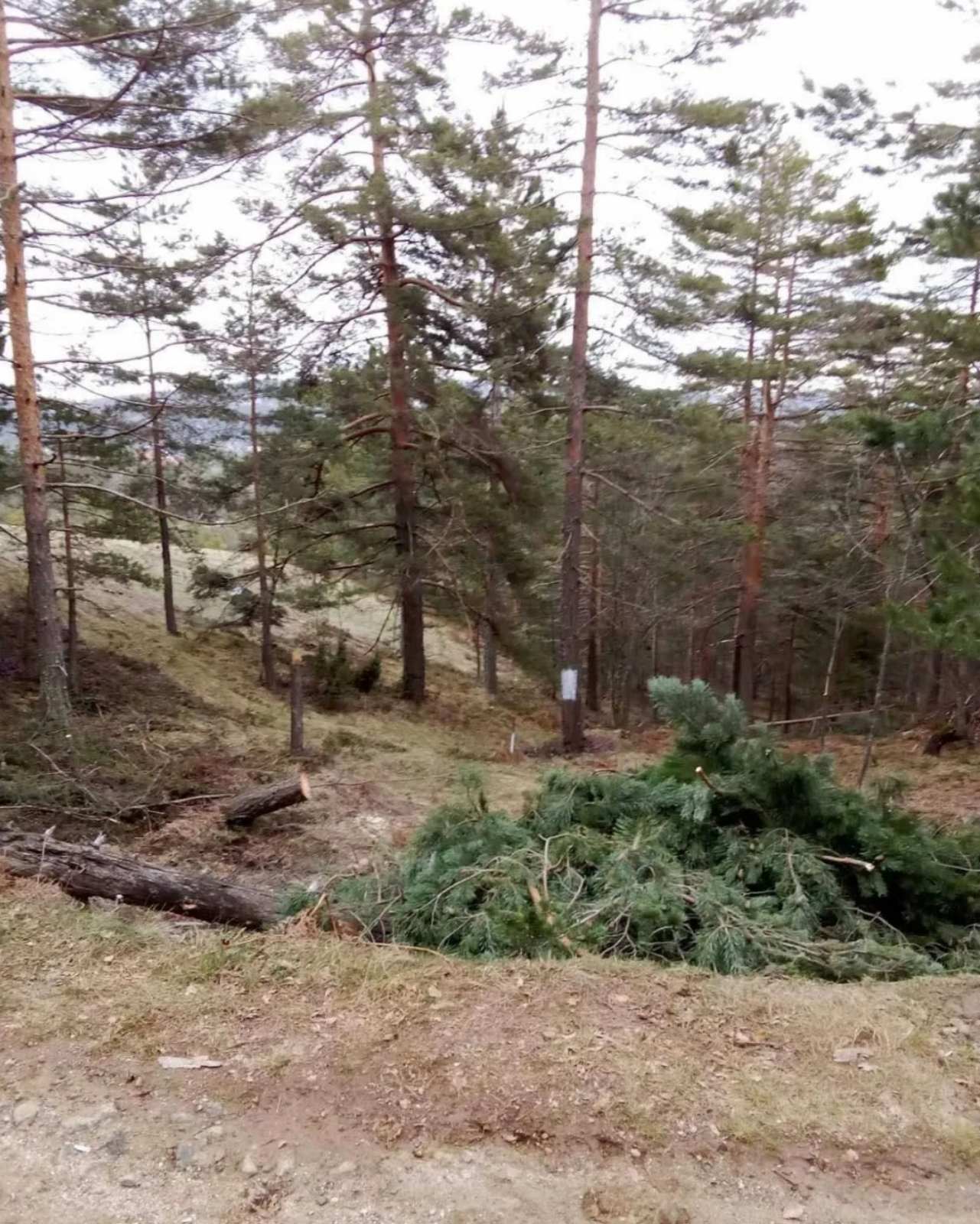 Prodajem plac na Divčibarama 5