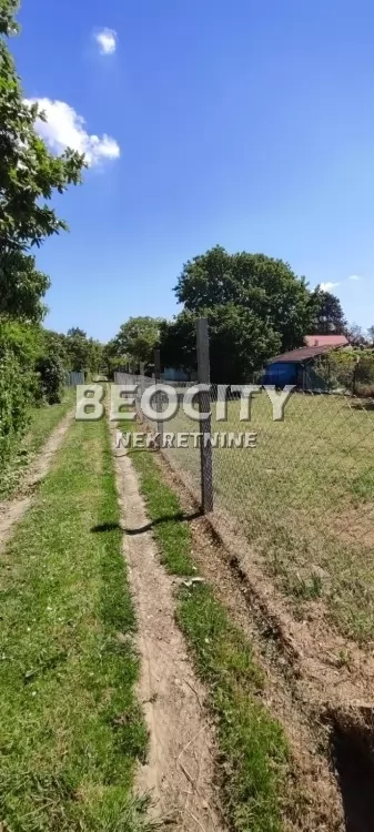 Plac, Veternik ID: 129455 1