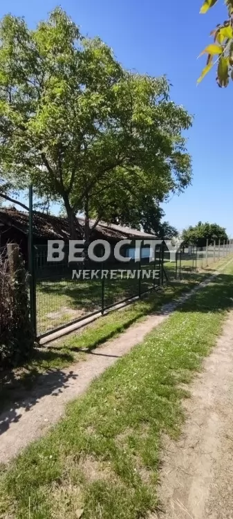 Plac, Veternik ID: 129455 2