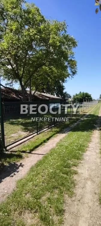 Plac, Veternik ID: 129455 5