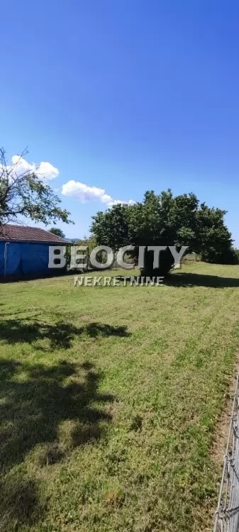 Plac, Veternik ID: 129455 7