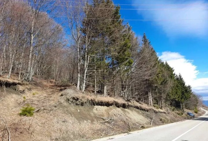 Prodaja parcela na Goliji  gradjevinsko zemljiste sa dozvoljenom gradnjom  4
