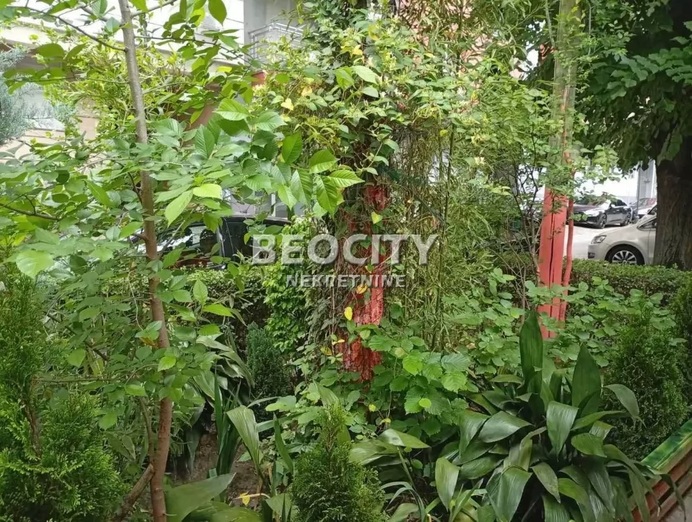 Jednosoban stan, 50 m2, Novi Sad, Toplice Milana ID: 132043 9