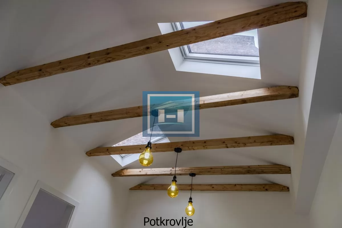 Gornji Dorćol, 221 m²: Poslovno-stambena vertikala sa TERETNIM LIFTOM i 2 PARKINGA 14