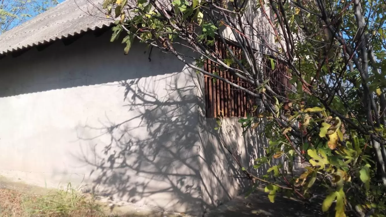 Vikendica sa vinogradom/Miloševo 3