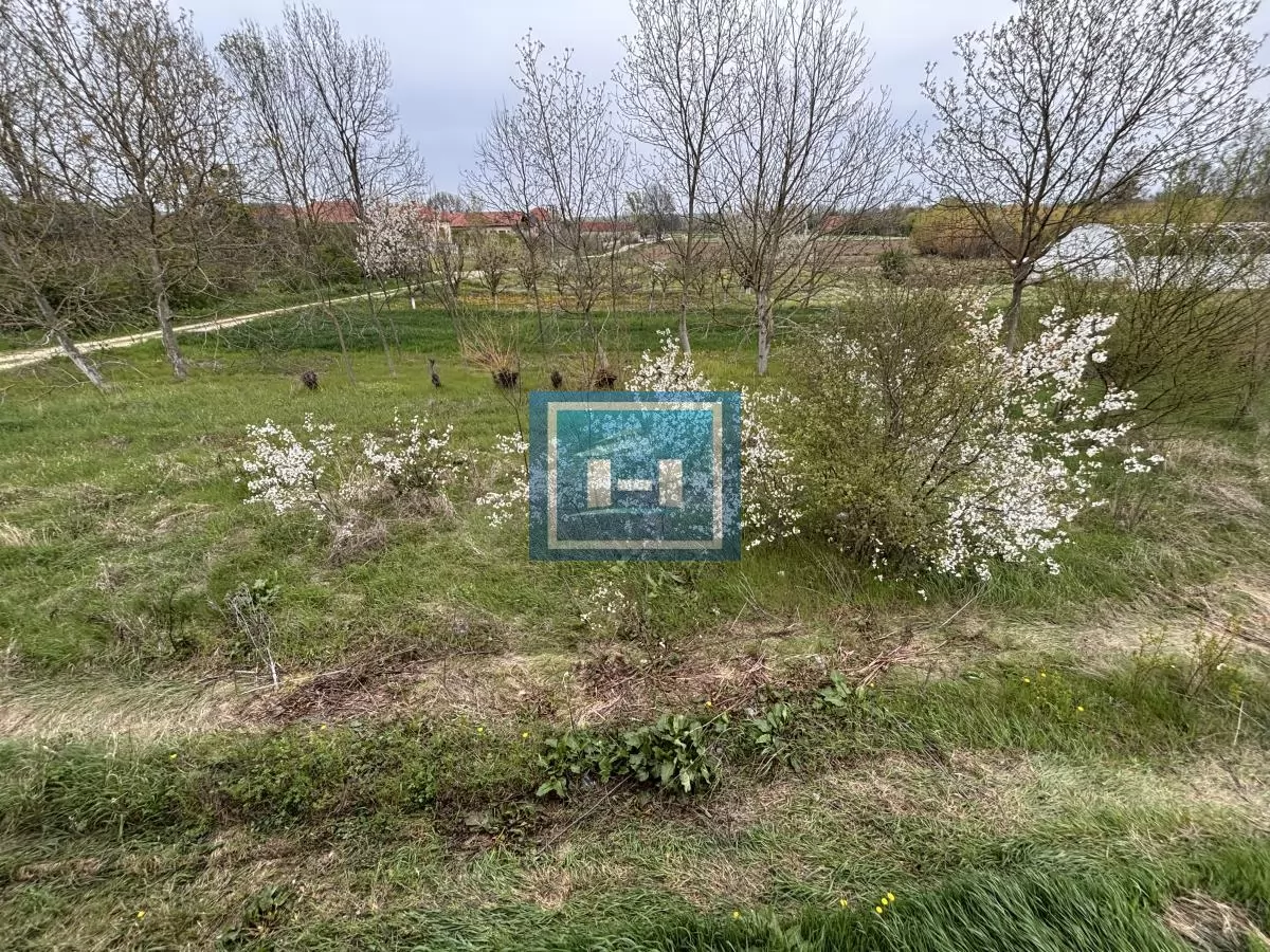Potpuno nova kuća blizu Jagodine 66