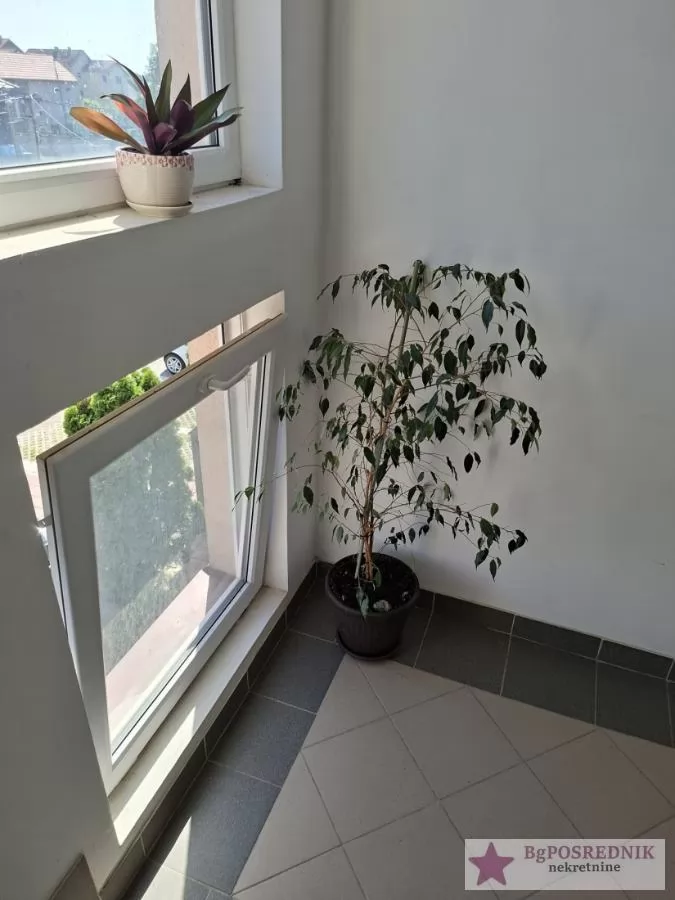 Zemun, Plavi horizonti, Mihajla Bandura, 119m2 12