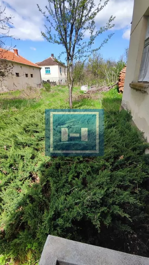 Kompletno imanje od preko 4 hektara zemlje sa starom kučom za rušenje u Tečiću 6