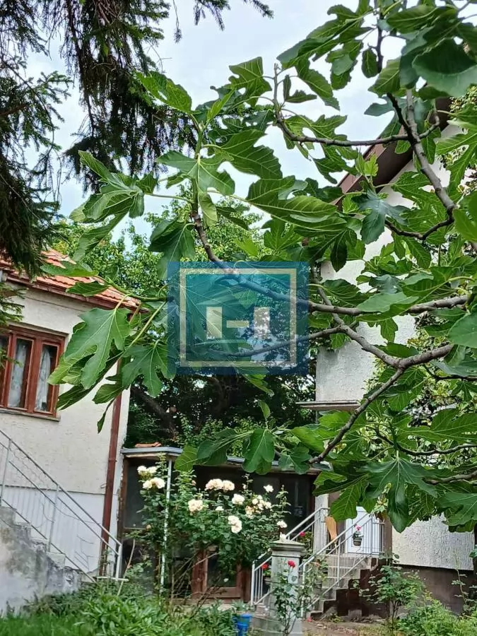 Na prodaju kuća sa velikim placem 19