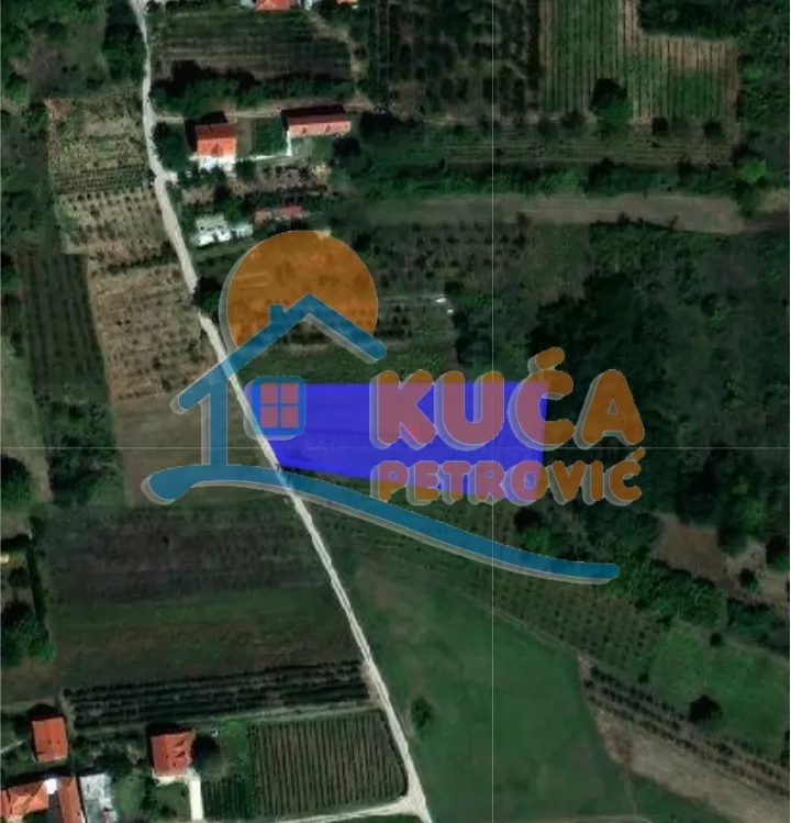 Plac, Gornji Matejevac, Gornji Matejevac ID: p-016704 1