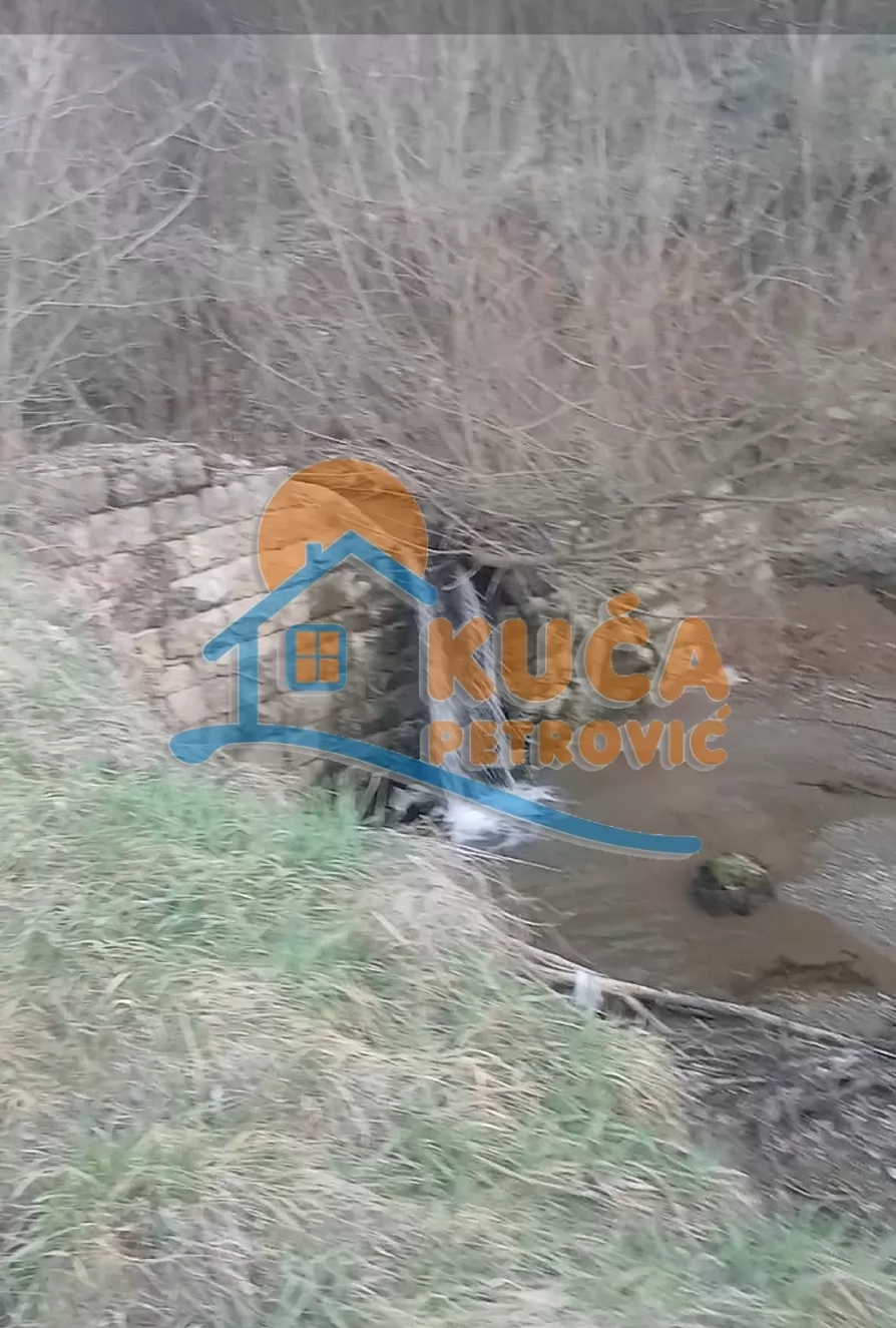 Plac, Palilula, Gabrovac ID: p-016687 1