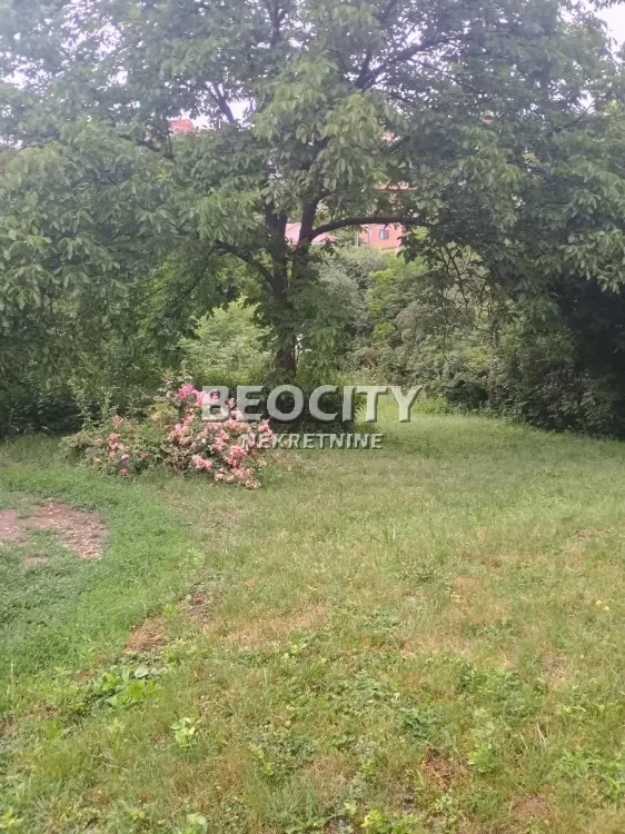 Plac, Banjica, Plitvička ID: 116165 1
