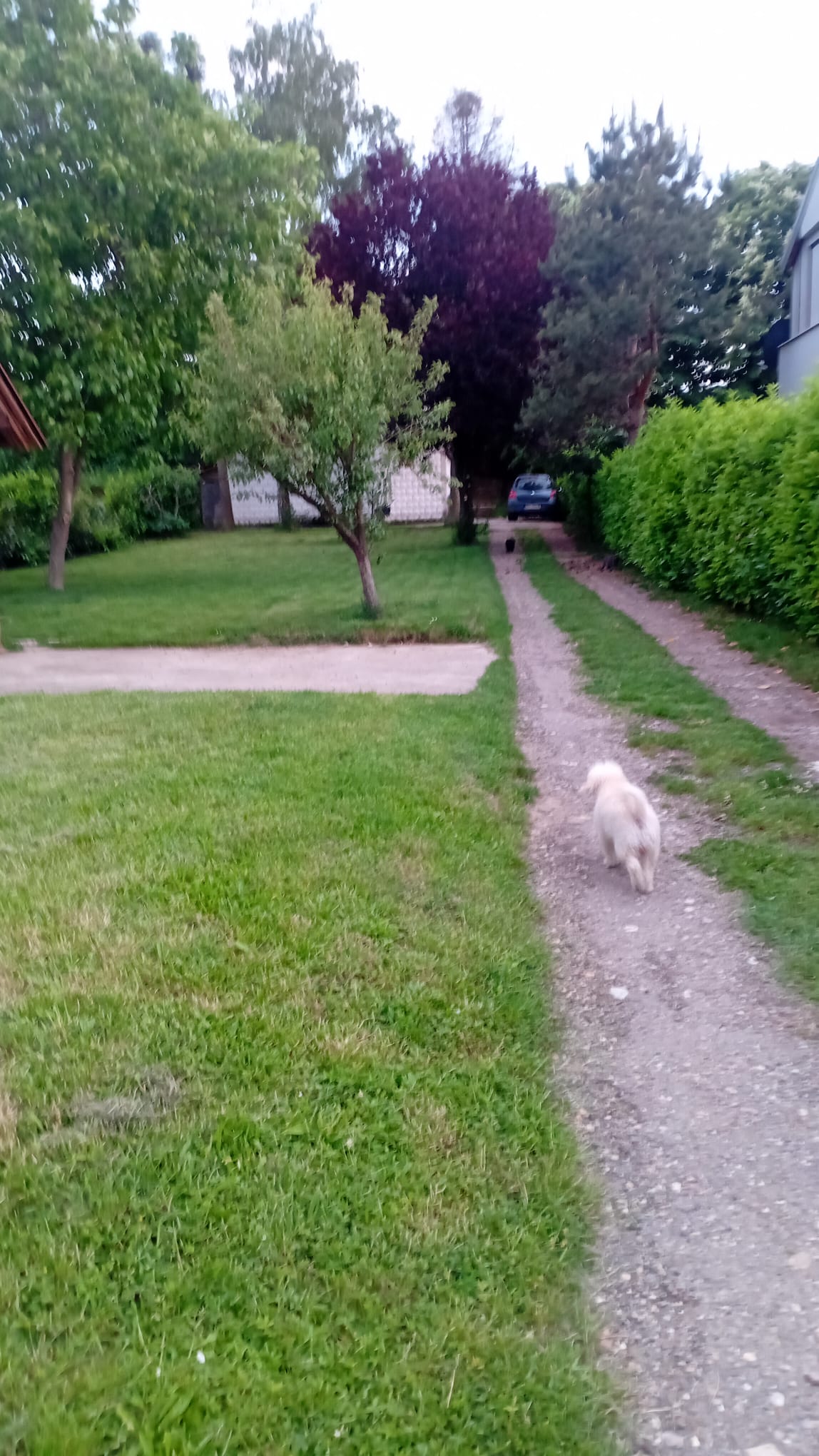 Avala  blizu megamarketa Koka Mar  200 m2 1