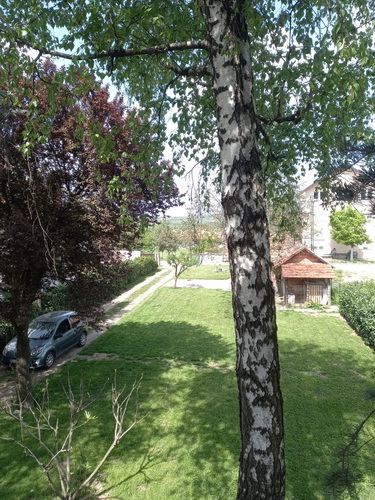 Avala  blizu megamarketa Koka Mar  200 m2 3