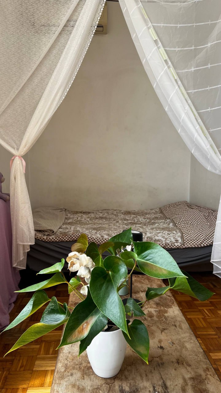 Studio apartman u Stari Grad na 2 meseca 2